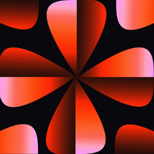 andrei-castanha-fuTjGnN8rNs-unsplash